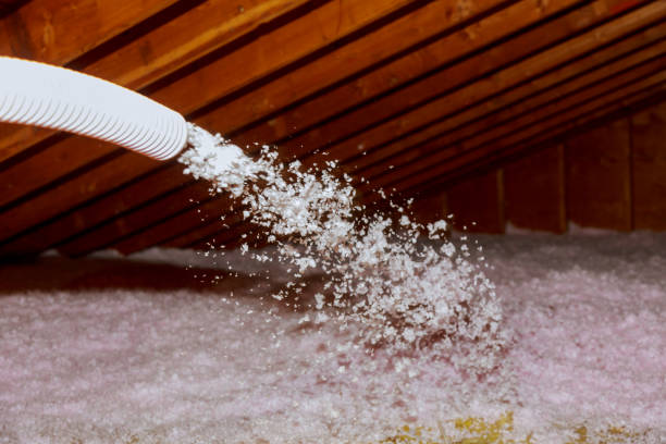Best Home Insulation Services  in Pelzer, SC