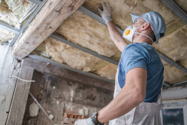 Best Energy-efficient Insulation  in Pelzer, SC