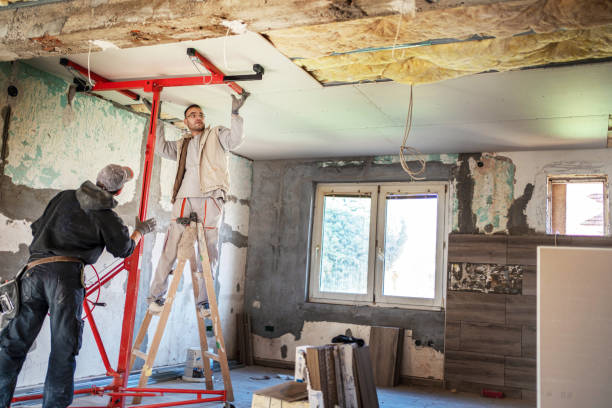 Best Wall Insulation Contractor  in Pelzer, SC