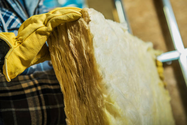 Best Cellulose Insulation  in Pelzer, SC