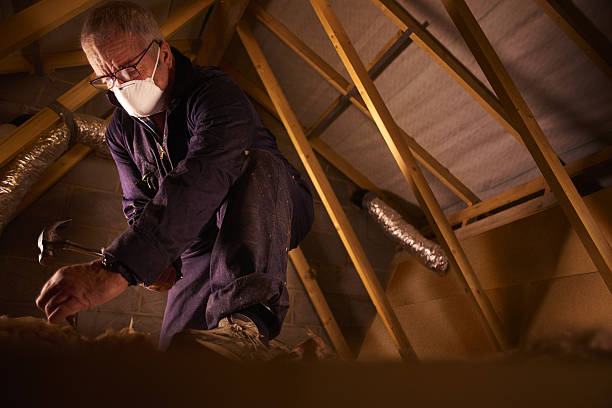 Best Insulation Replacement Services  in Pelzer, SC